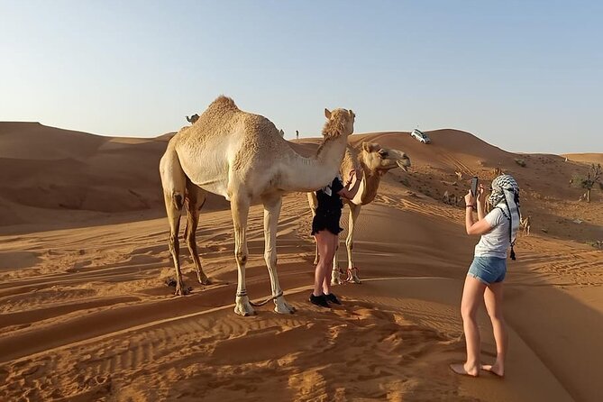 desert safari