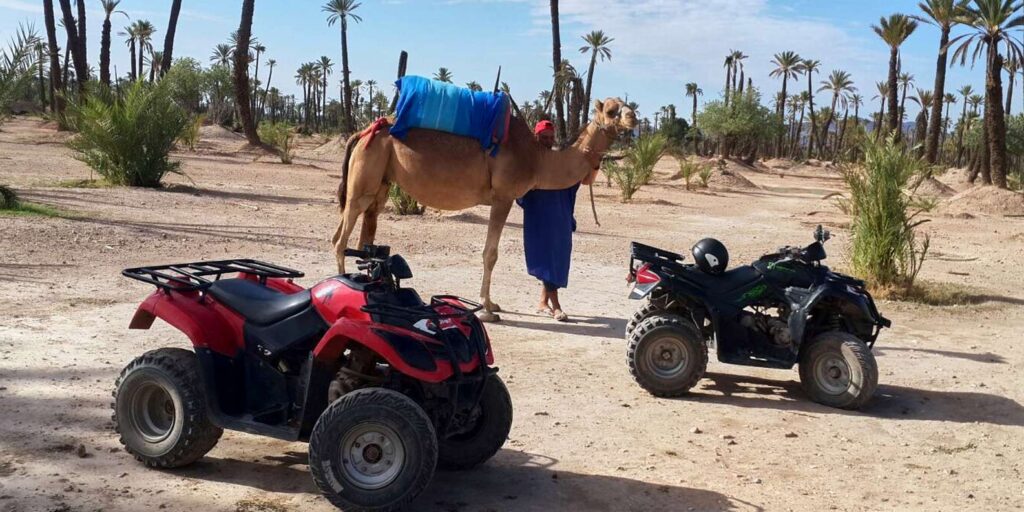 Western Sahara Quad Biking